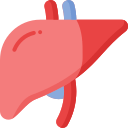 liver_i4nty_128