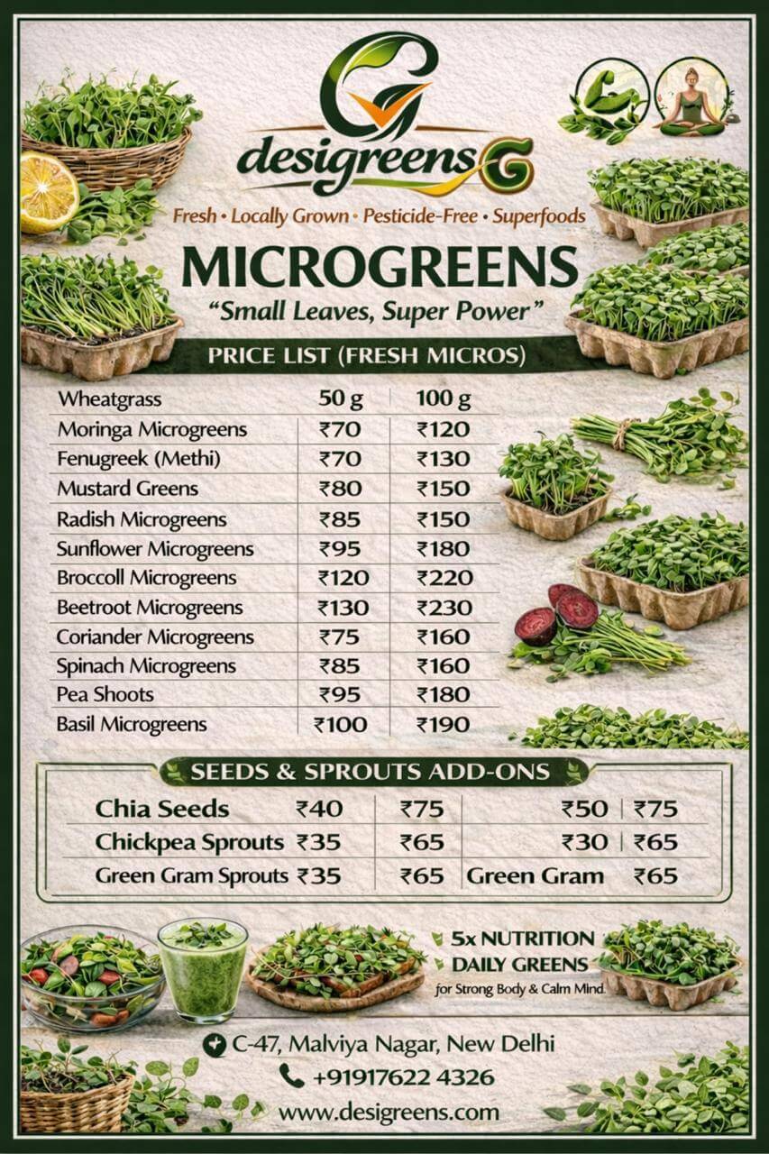 WhatsAppImage20260213at11