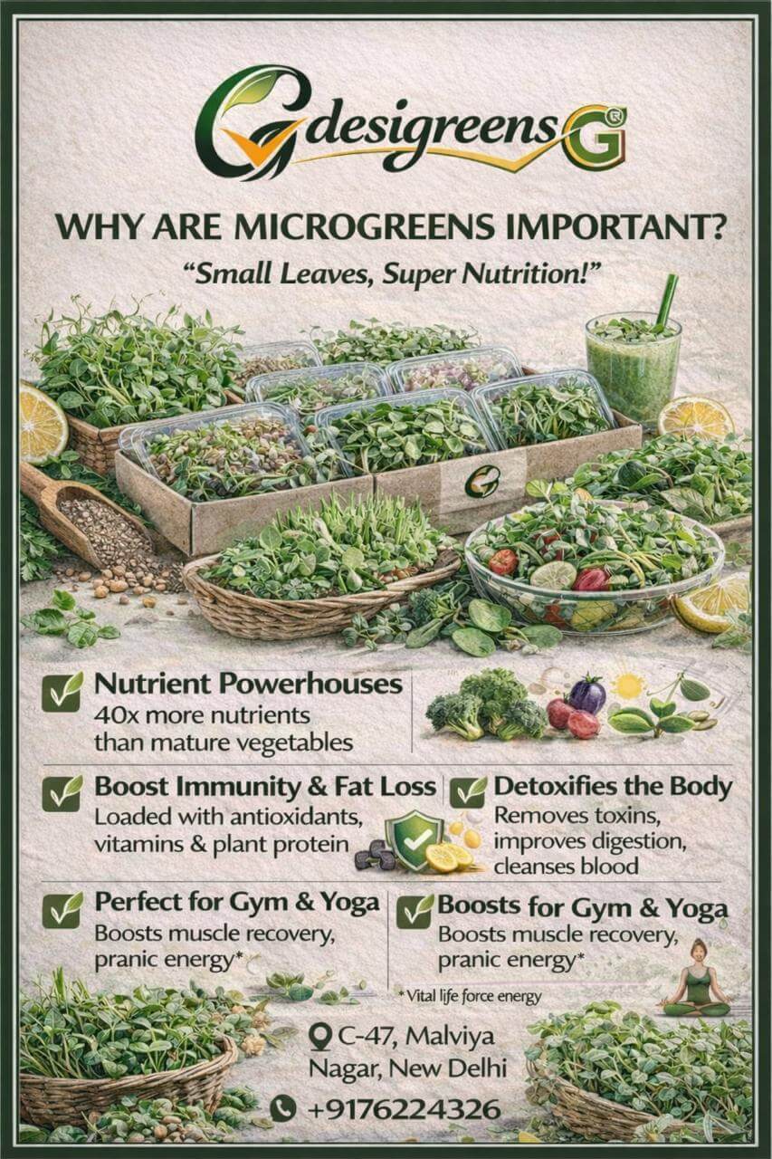 WhatsAppImage20260213at11