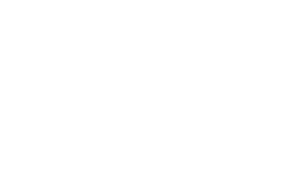 whitemode_cyoda_undefined