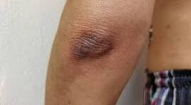 WhatsAppImage20251205at12_a2mza_270