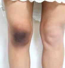 WhatsAppImage20251205at12_gymzc_219