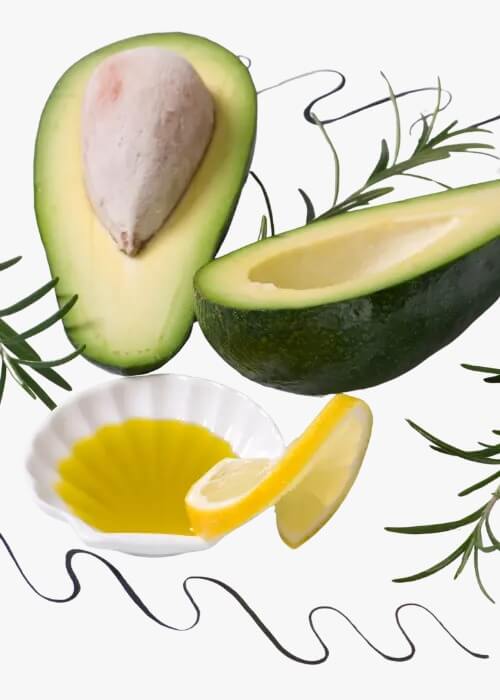 WhatsAppImage20251205at1_k0odk_500