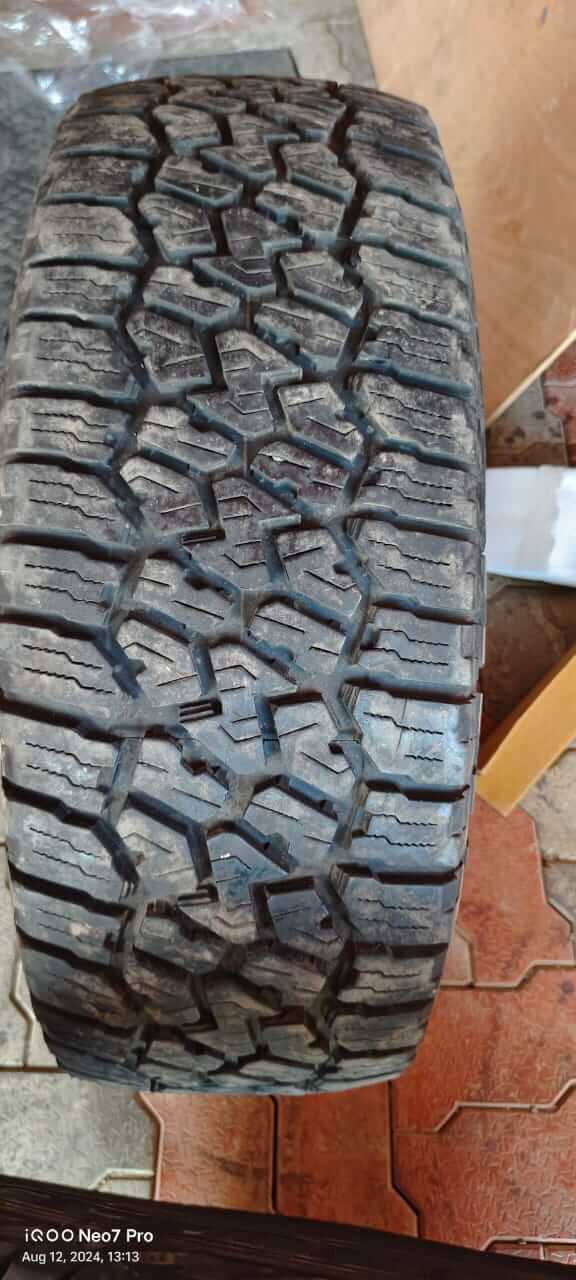 WhatsAppImage19470827at11_yyndg_576