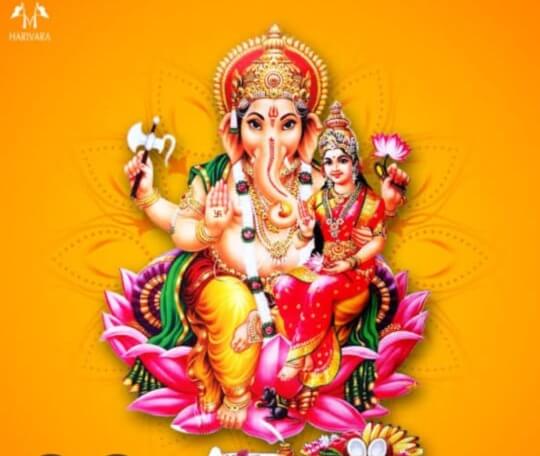 WhatsAppImage20251222at11