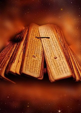 WhatsAppImage20260203at1