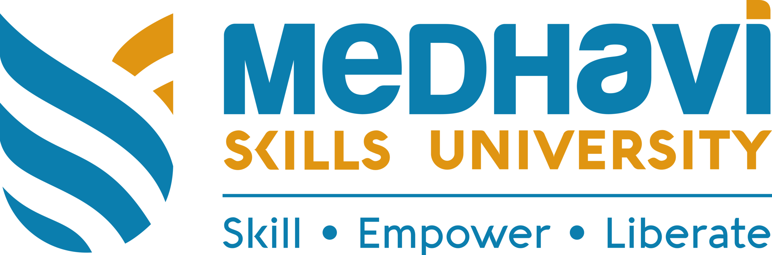 MSURevisedLogo_fn882_2560