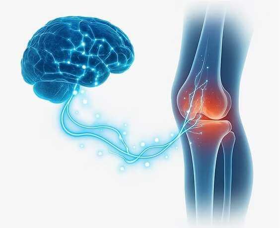 Restoring Neural Signals