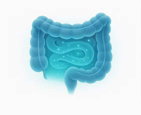 Enhancing Gut Health