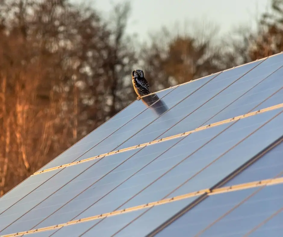 solarpanels1_brb0z_940