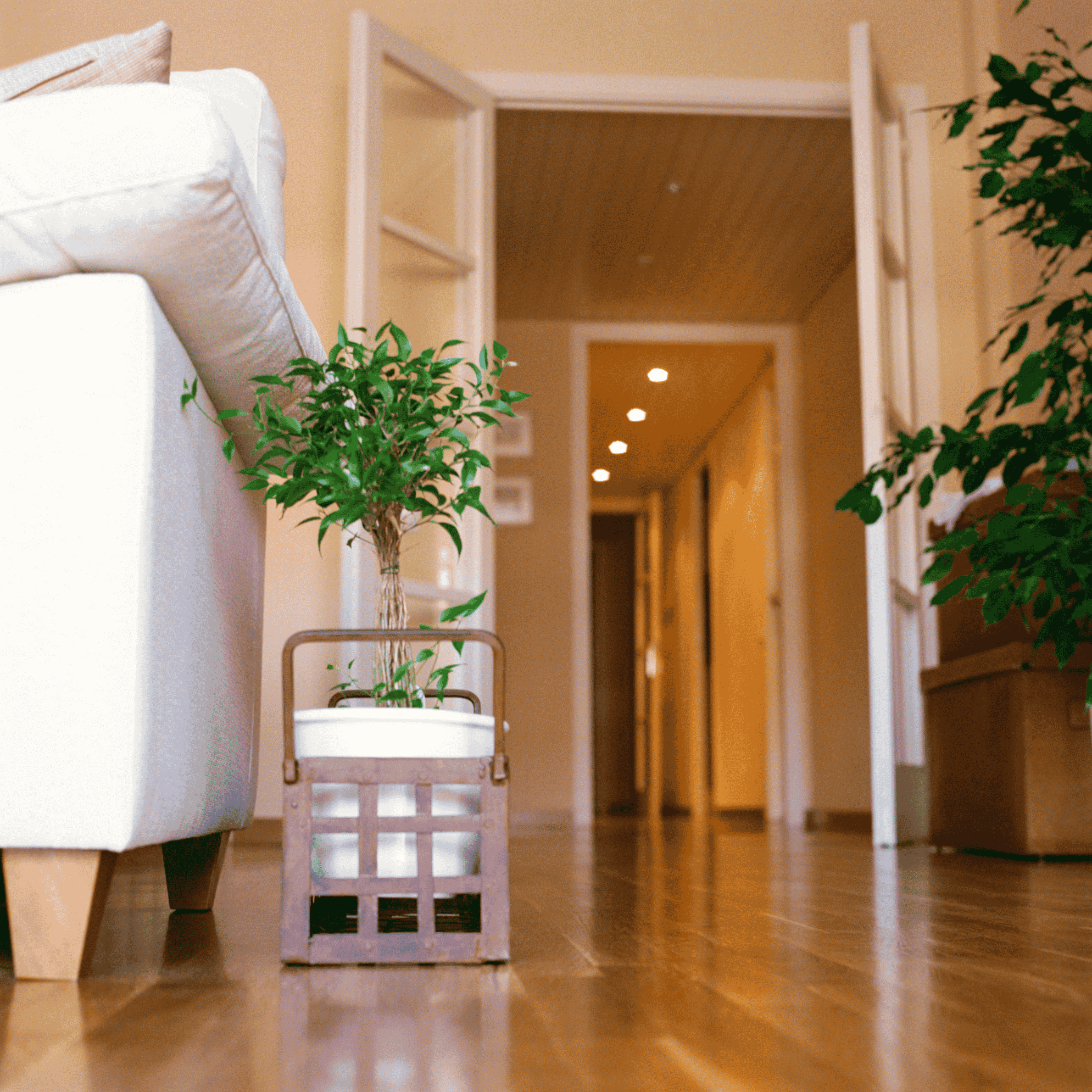 POFplanthallway_hqpd1_2380