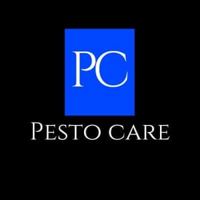 PHOTO20260313145034_jukt8_400