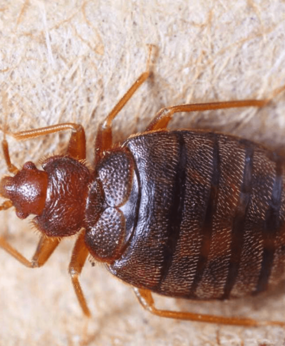 Screenshot20260313at2