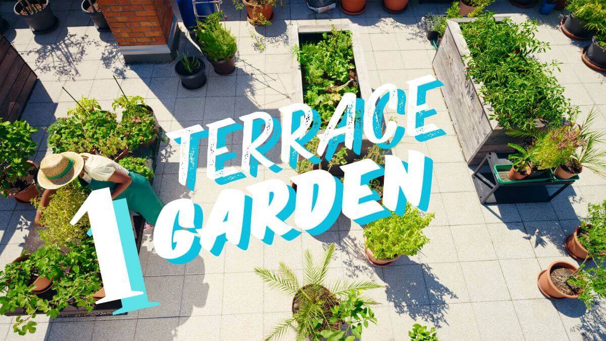 1TerraceGarden1_qwmdi_1200