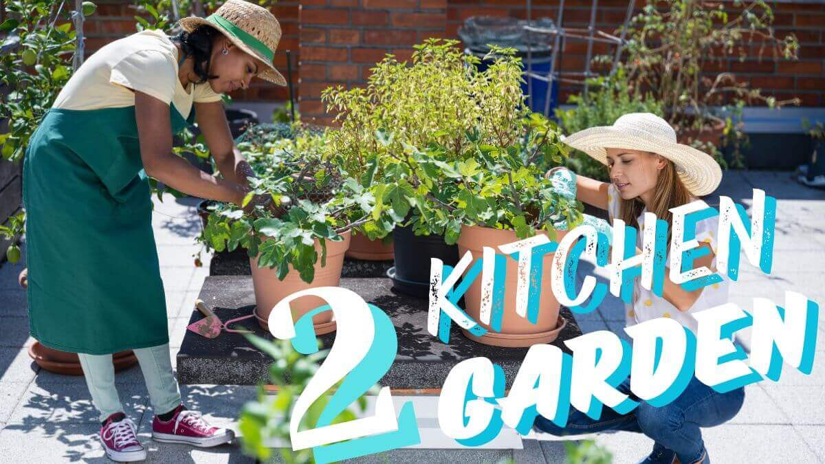 2kitchenGarden1_c4otq_1200