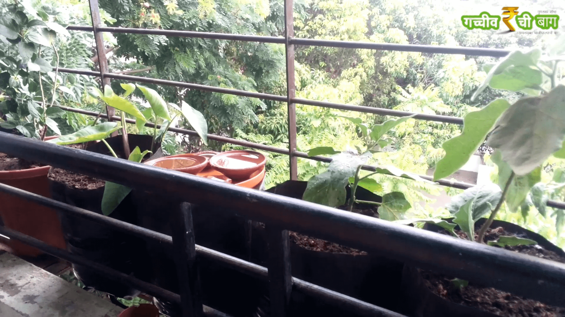 Snapshot4_e4mdk_1920