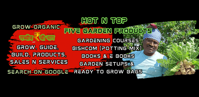 cxodm_640_Facwbookcover11png