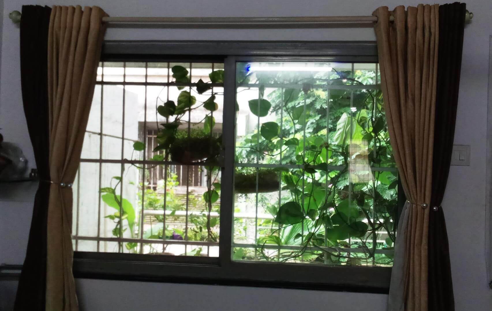 exntu_1705_windogarden1