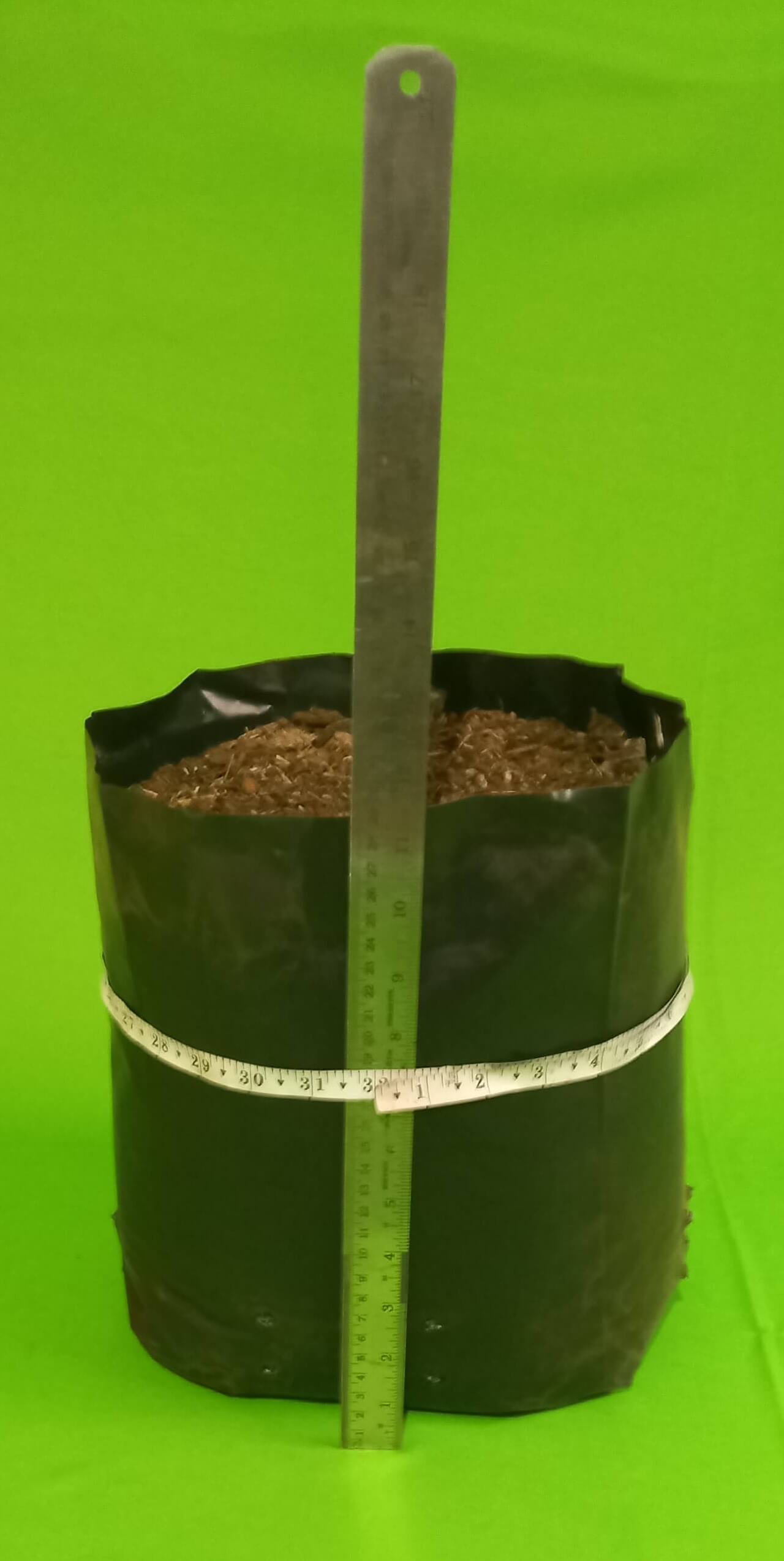 exoty_1280_kwnzq225020220911174901