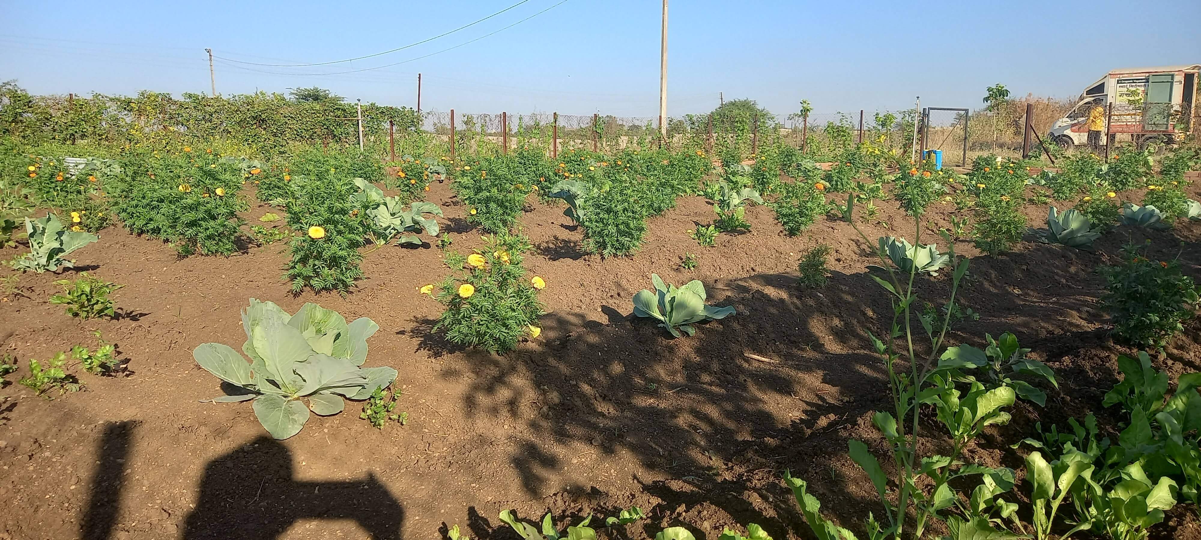farmhouse_k3odm_4000