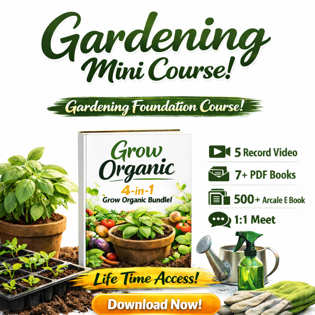 gb2569d895332a555_se7m6_1024