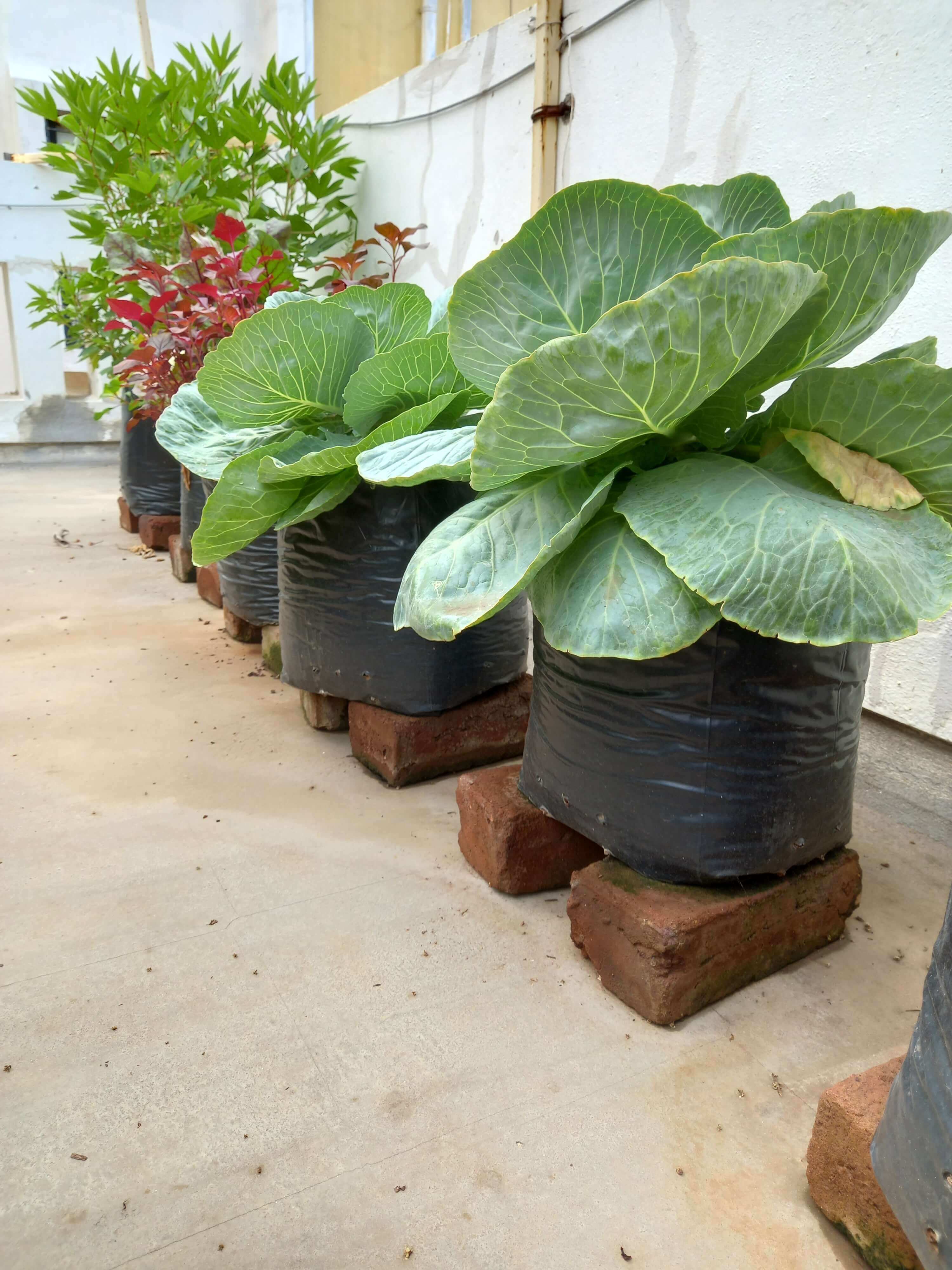 gwnjk_3000_20220610092904