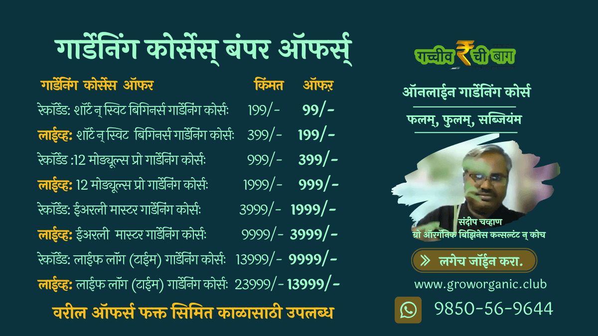 kwodu_1200_CoursesModule