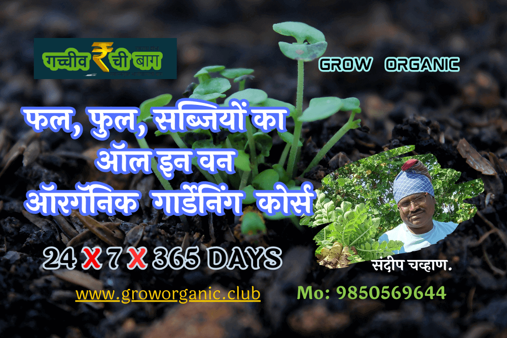 m3nte_1000_onlineclass11