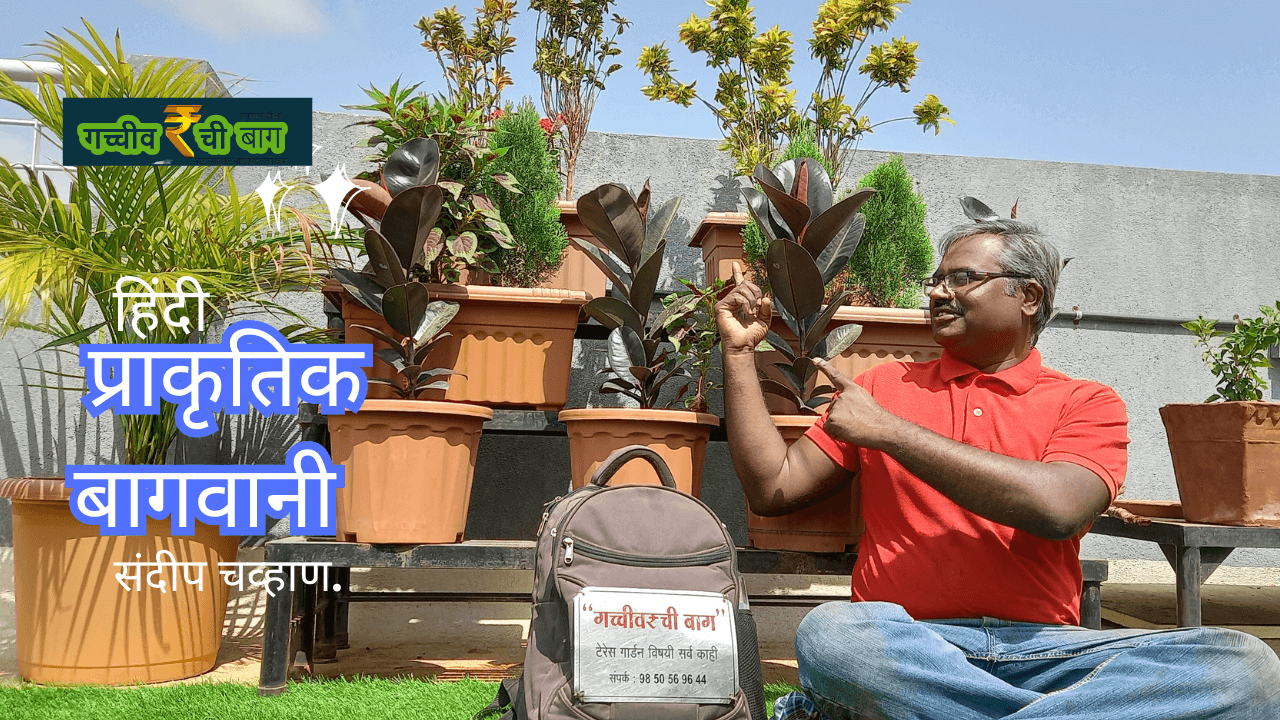 qyotg_1280_prakurtikbagwani1