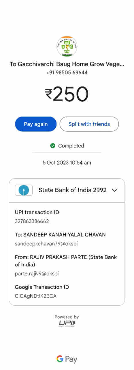 y5mjg_465_IMG20231005WA0010