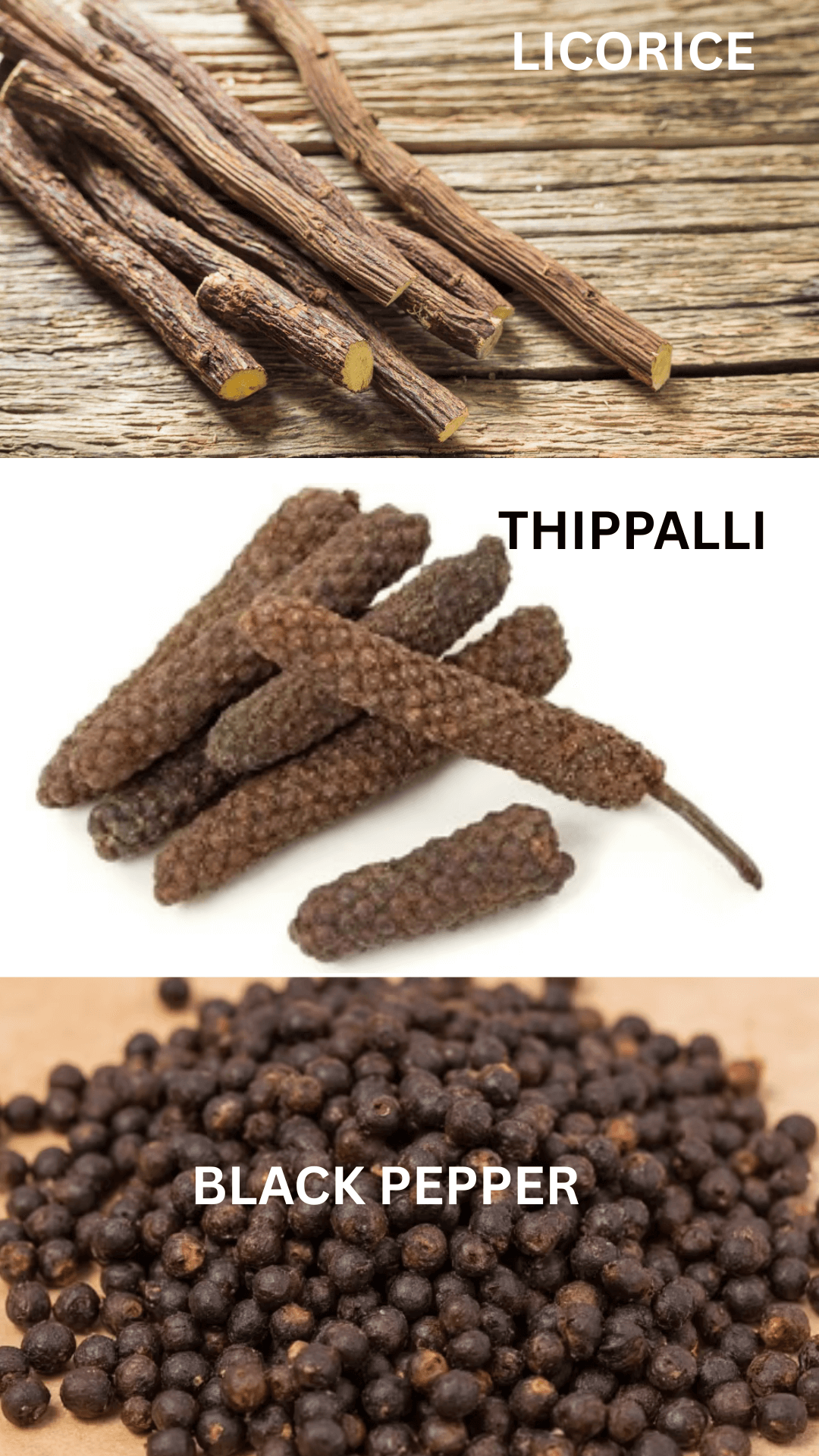 Starterpackagefor1Month5_u3jv8_1080