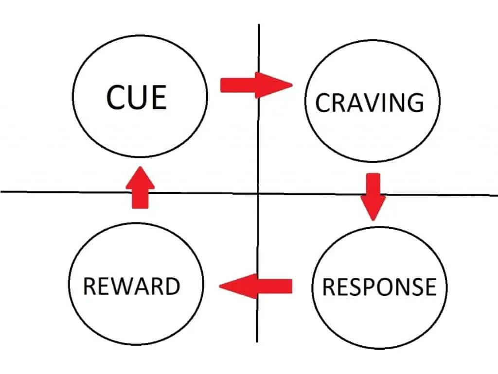 g1nty_1024_virtuouscycle1024x770