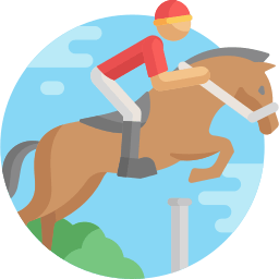 a5mji_256_riding1