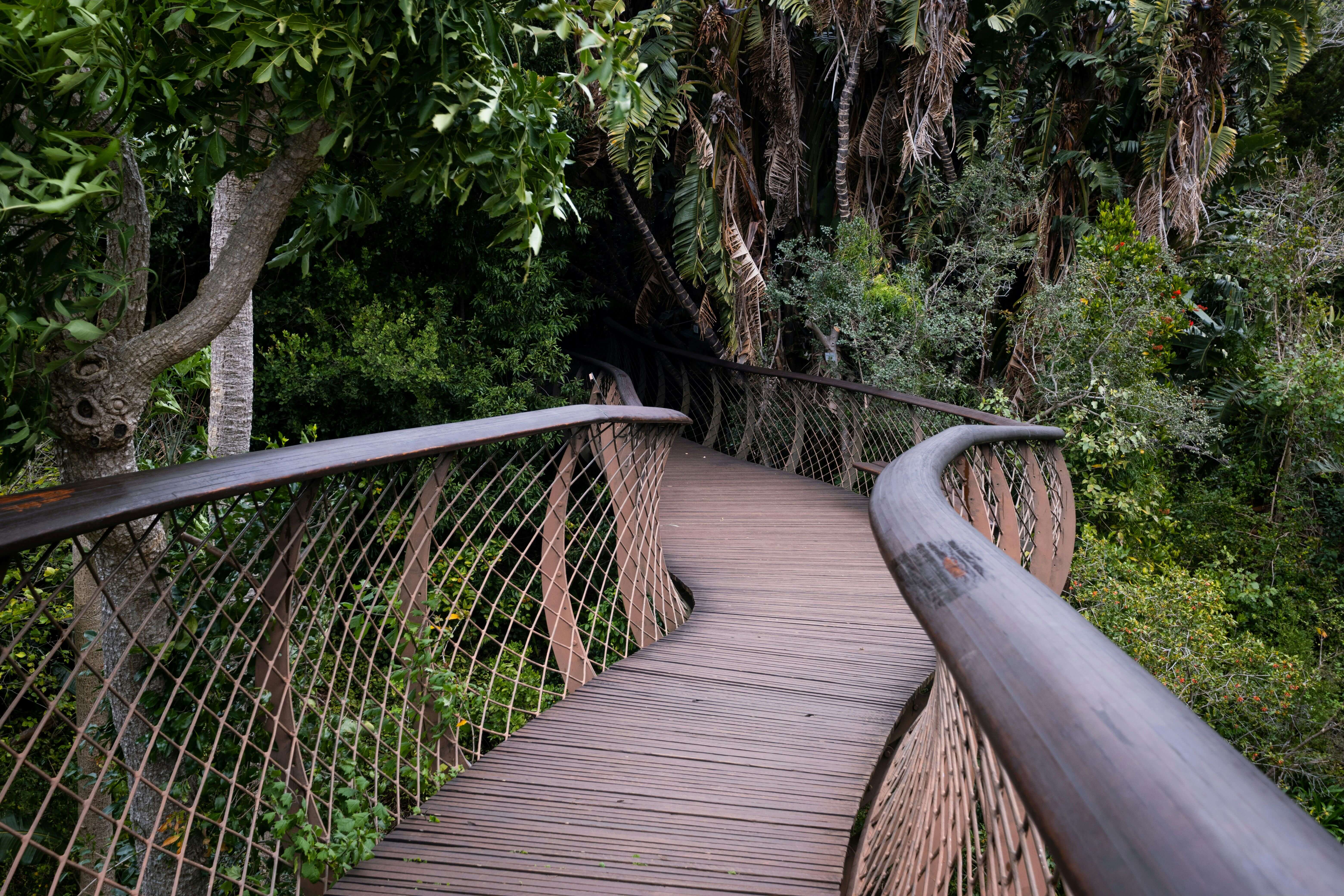 AfternoonRelaxationatKirstenboschBotanicalGardens_q914j_6240