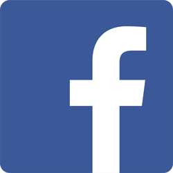 facebookicon_ihxwb_250