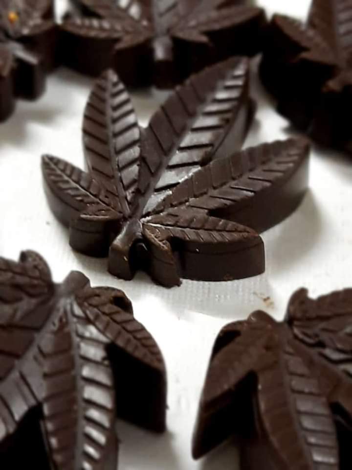 c5ode_720_WhatsAppImage20230916at5