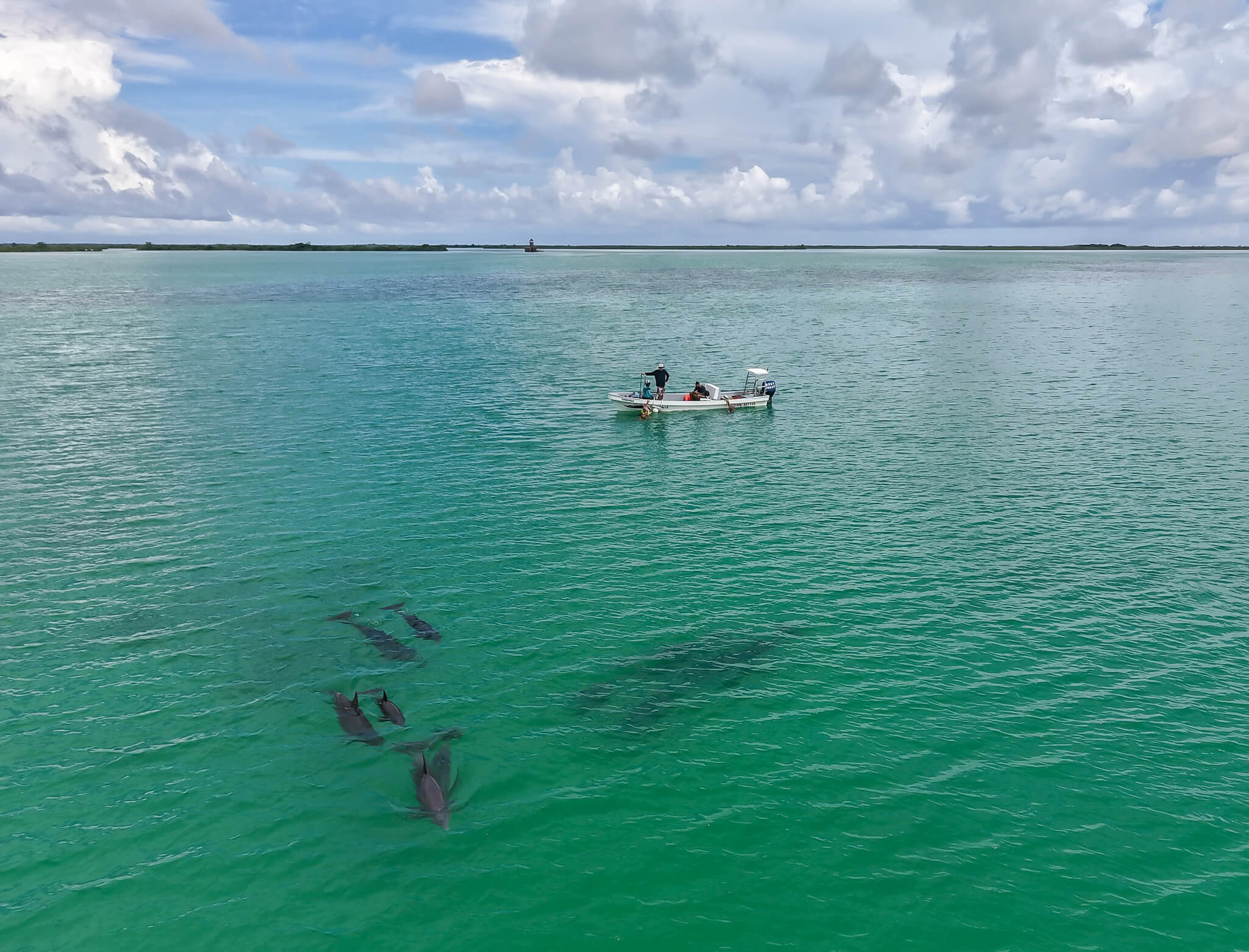 snorkelingwithdolphins_kiuj1_2048