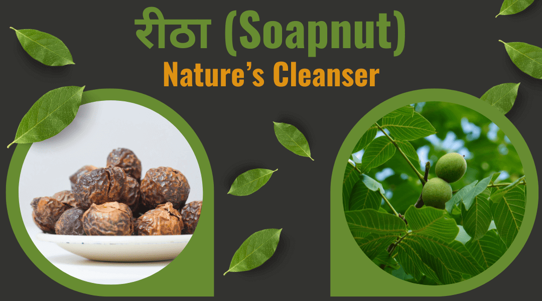 Soapnut_k5mzc_1080
