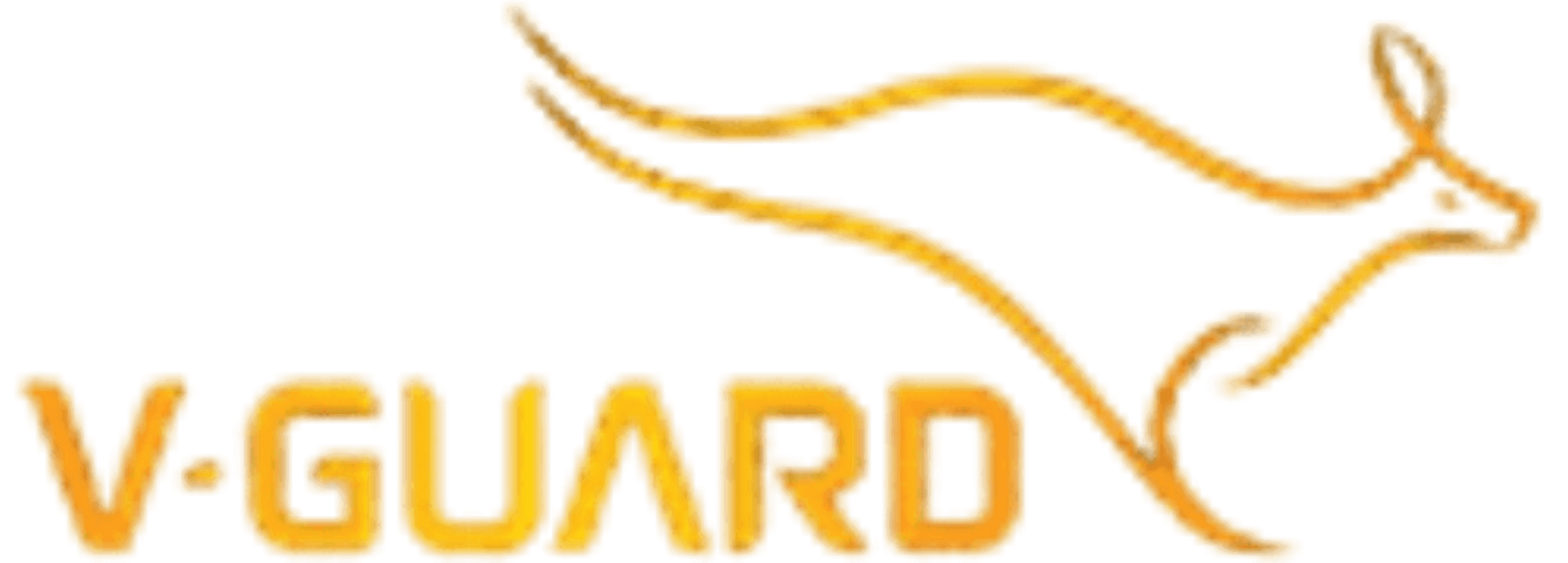 VGuard_cynzy_undefined