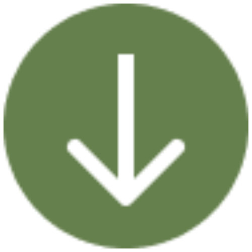 Untitleddesign20250927T222906_mzntg_500