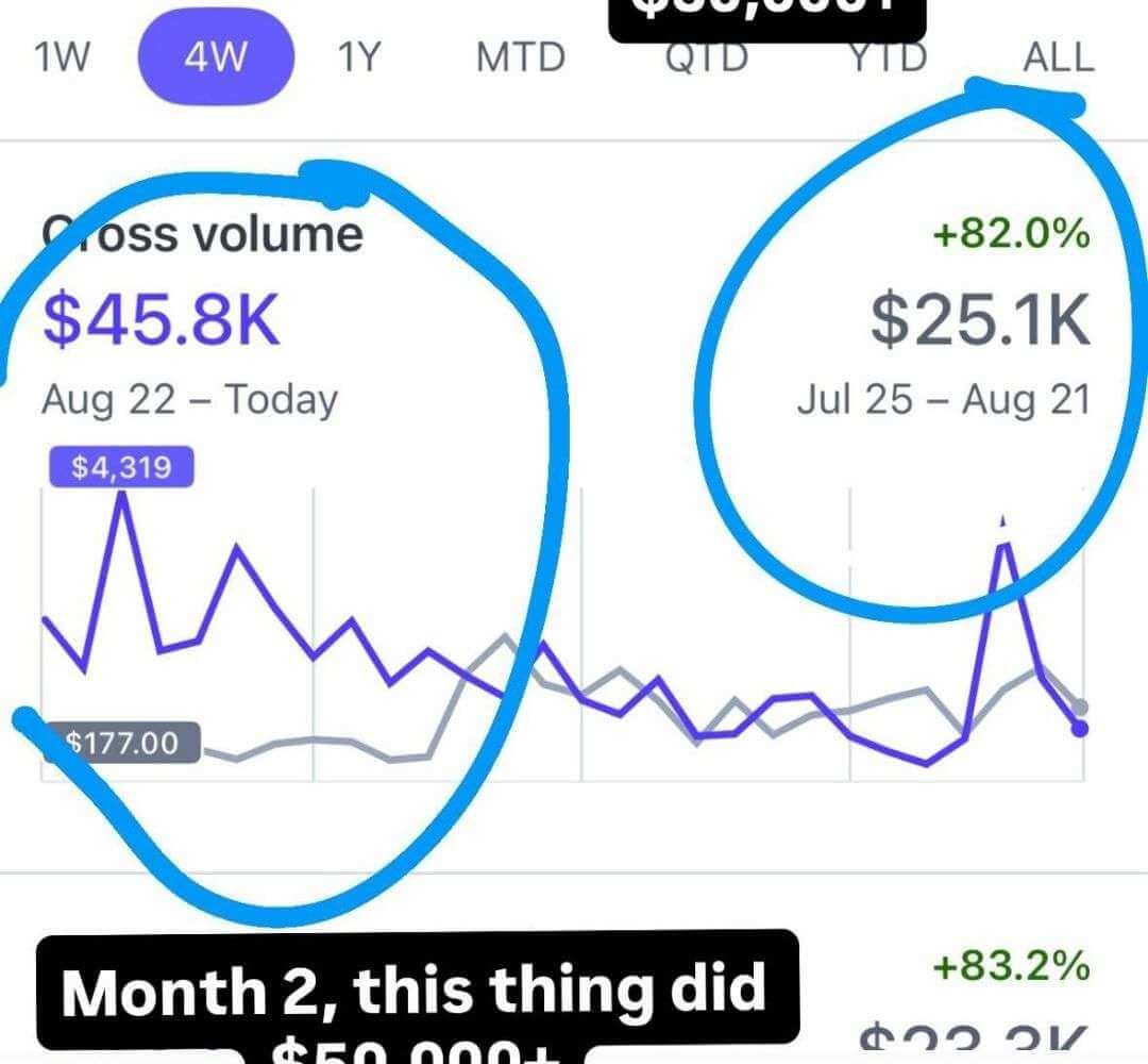 $45k Revenue in 30 Days