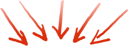 cwnzq_534_Page1Mobile1