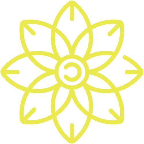 kzota_500_2