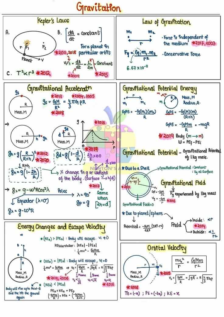 WhatsAppImage20250201at1_iyodc_736