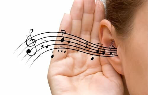 qznjy_500_URVPMaEwQmqcl7fvuGhQeartrainingmusicians1