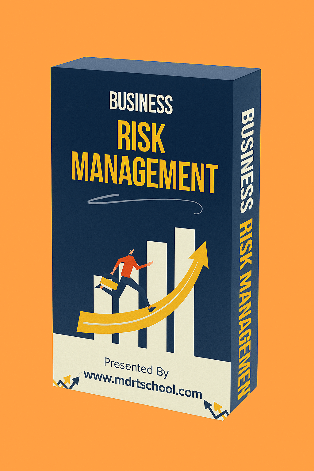 BusinessRiskManagement3DBOX_mznje_1024