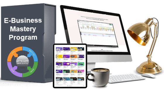 y3nju_561_EBusinessMastery1