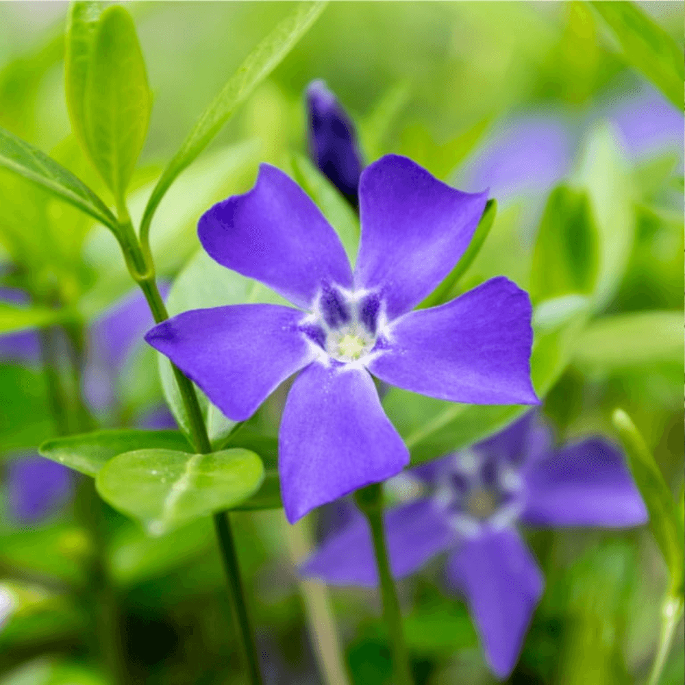 Untitleddesign10_cxntk_1000