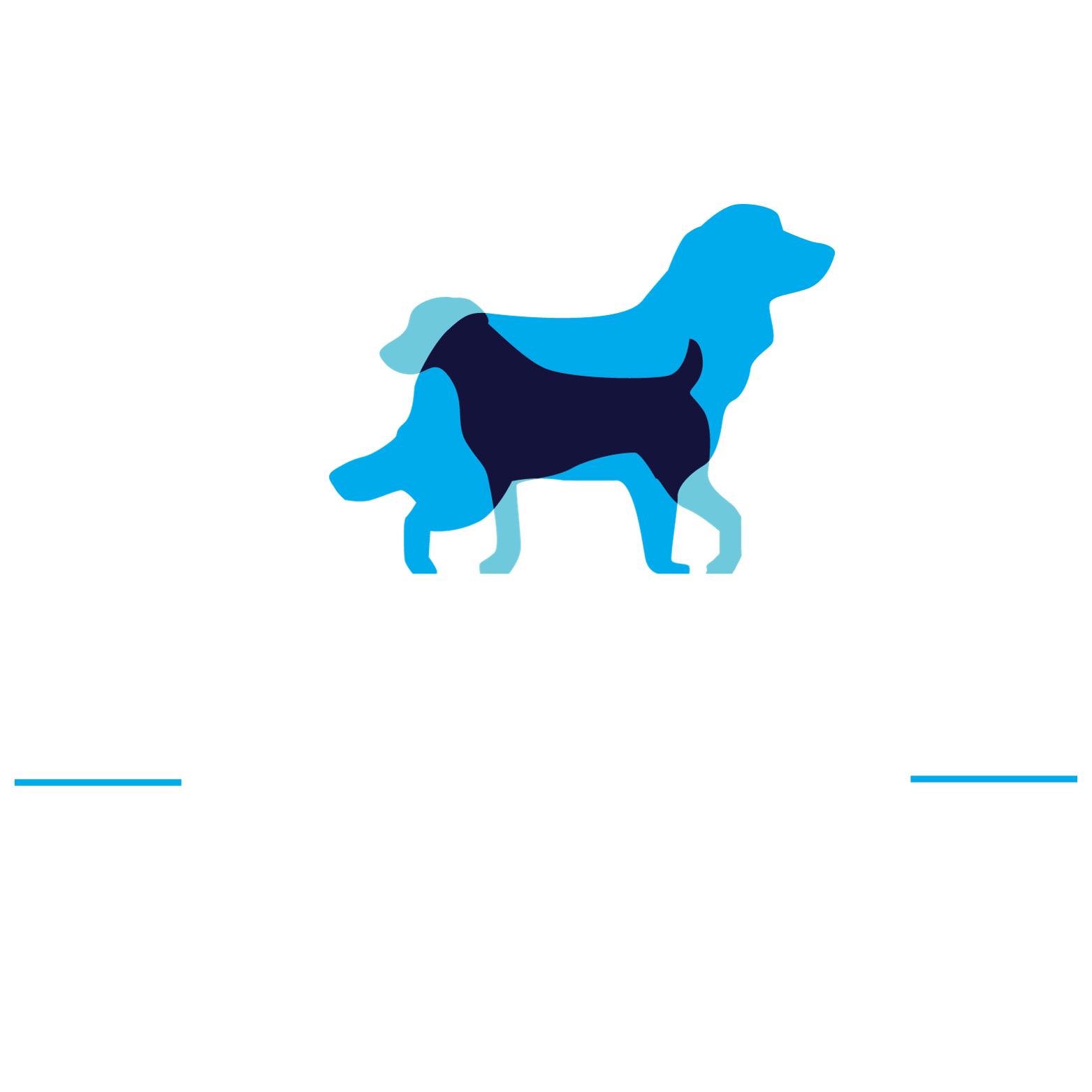 k5mtc_1563_FURTHRIVE12