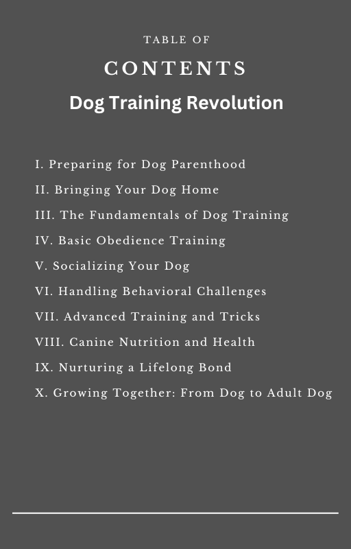 y3mty_512_Chapter1PreparingforDogParenthoodFindingthePerfectDogDogProofingYourHomeEssentialSuppliesforYourNewArrivalChapter2BringingYourDogHomeTheFirstDaysWhattoExpectIntrodu